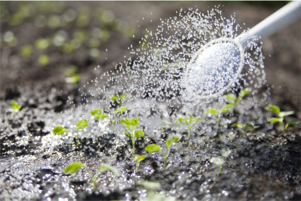 Vorteile von Regenwassernutzung mit einer Zisterne