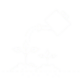 mobile13